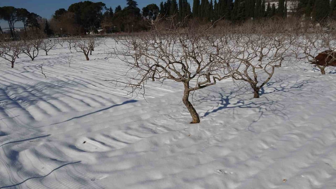 Kar yağışı Gaziantep'te çiftçinin yüzünü güldürdü: Antep fıstığı ve hububatta rekolte beklentisi arttı