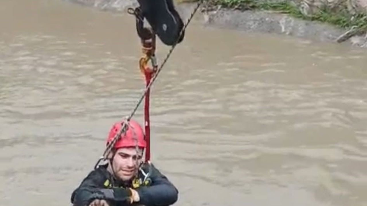 Karabağlar'da Dereye Düşen Köpek İtfaiye Ekiplerince Kurtarıldı