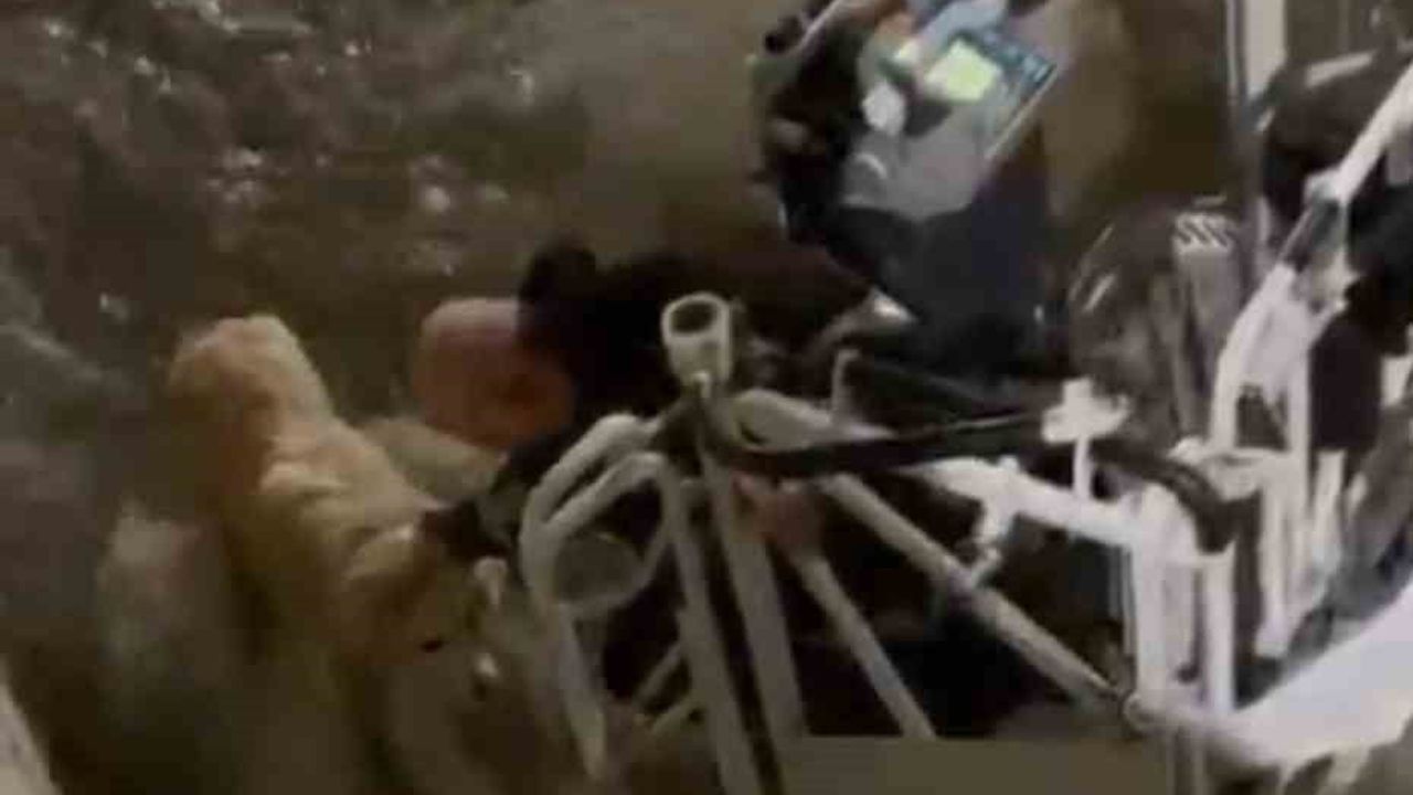 Karabük’te su kanalına düşen köpek itfaiye ekiplerince kurtarıldı