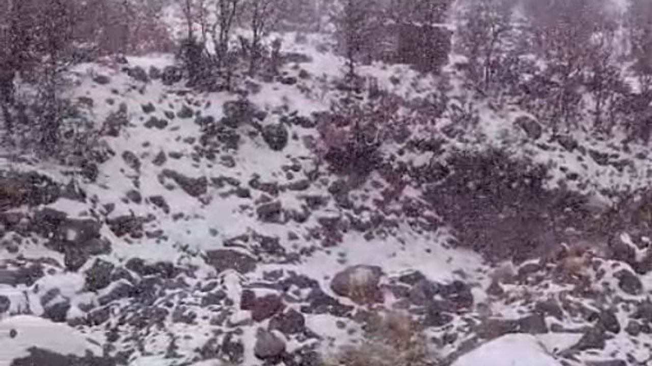 Karacadağ'da kar yağışı yaban hayatını etkiledi; vatandaşlar yem bıraktı