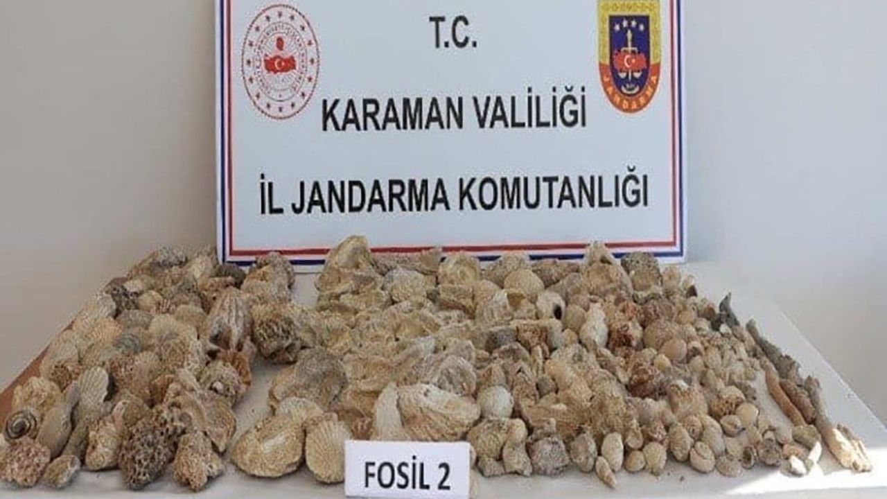 Karaman'da jandarma uygulamasında kaçak sigara ve 420 fosil ele geçirildi; 12 kişi tutuklandı