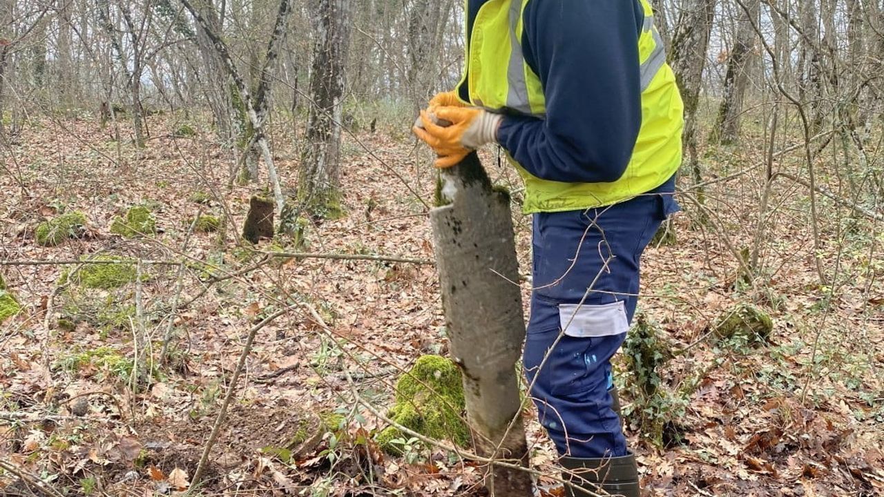 Karamürsel’de Asırlık Osmanlı Mezarları Koruma Çalışmalarıyla Yeniden Gün Yüzüne Çıkarıldı