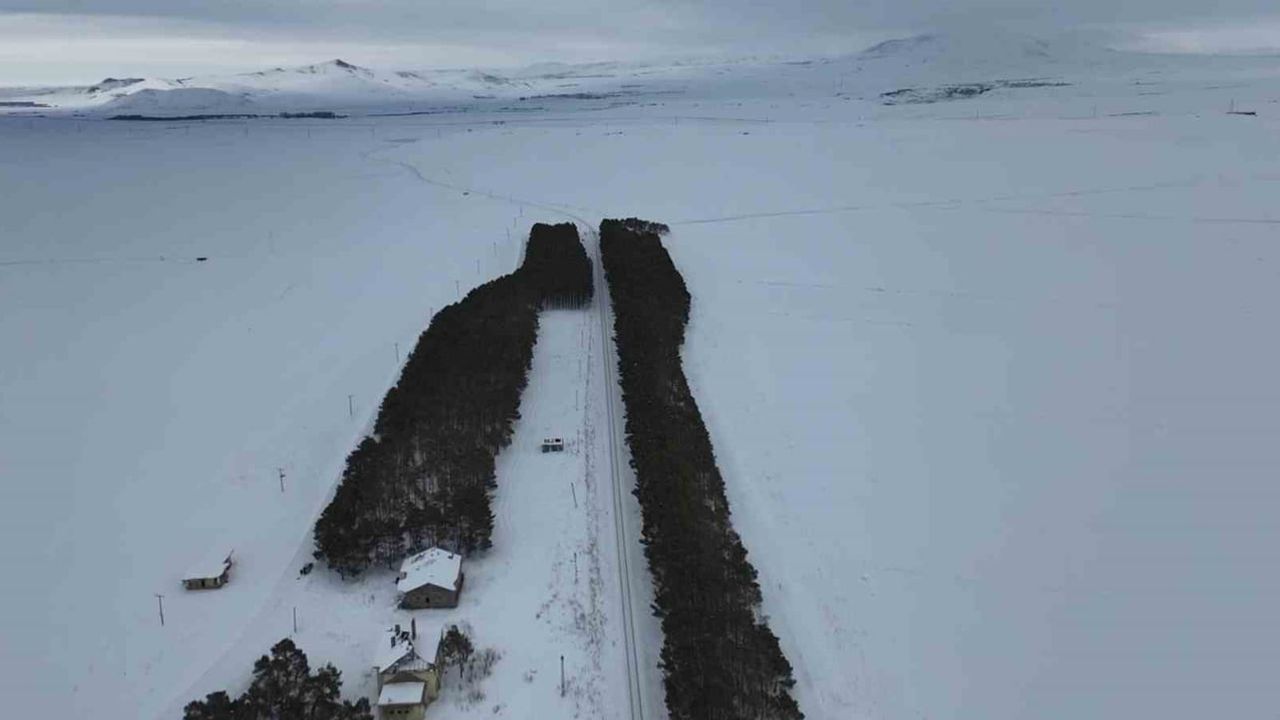 Kars’ta Benliahmet Tren İstasyonu: Bozkırda 20 bin çamla kış vahası