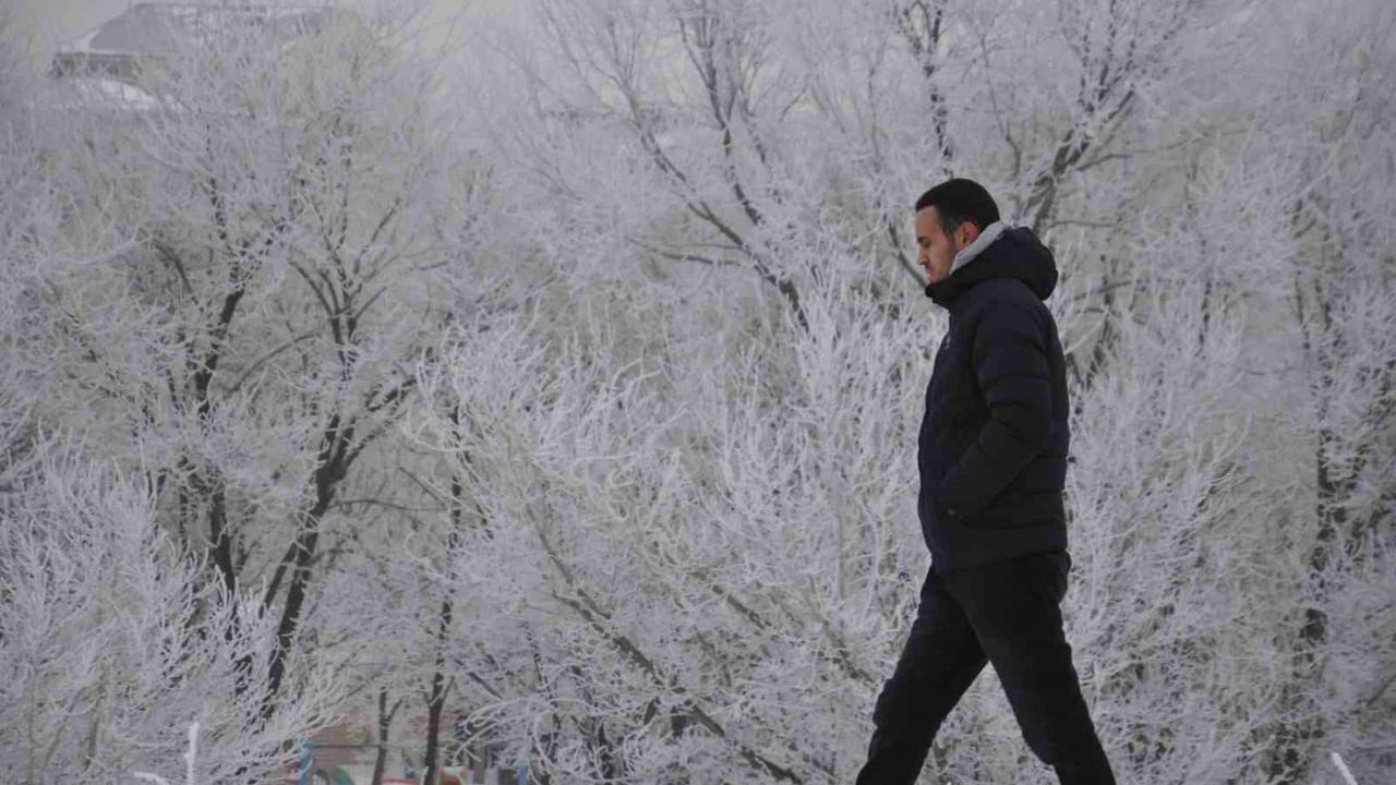 Kars'ta eksi 20 derece: Ağaçlar kırağıyla kaplandı, kent beyaza büründü
