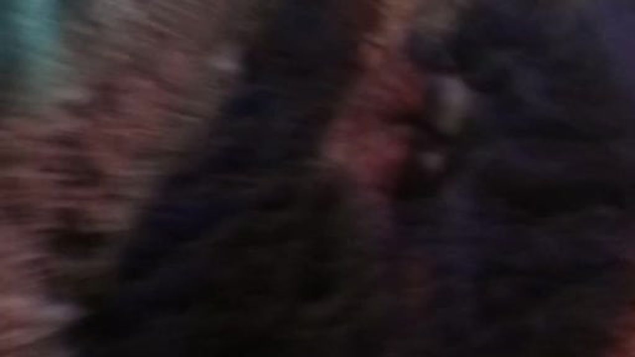 Kars'ta paletli kar aracıyla yaşlı hastaya ulaşan Mehmetçik