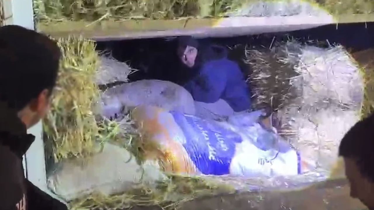 Kars'ta saman balyaları arasında 3 Afganistan uyruklu göçmen bulundu; sürücü H.P. tutuklandı