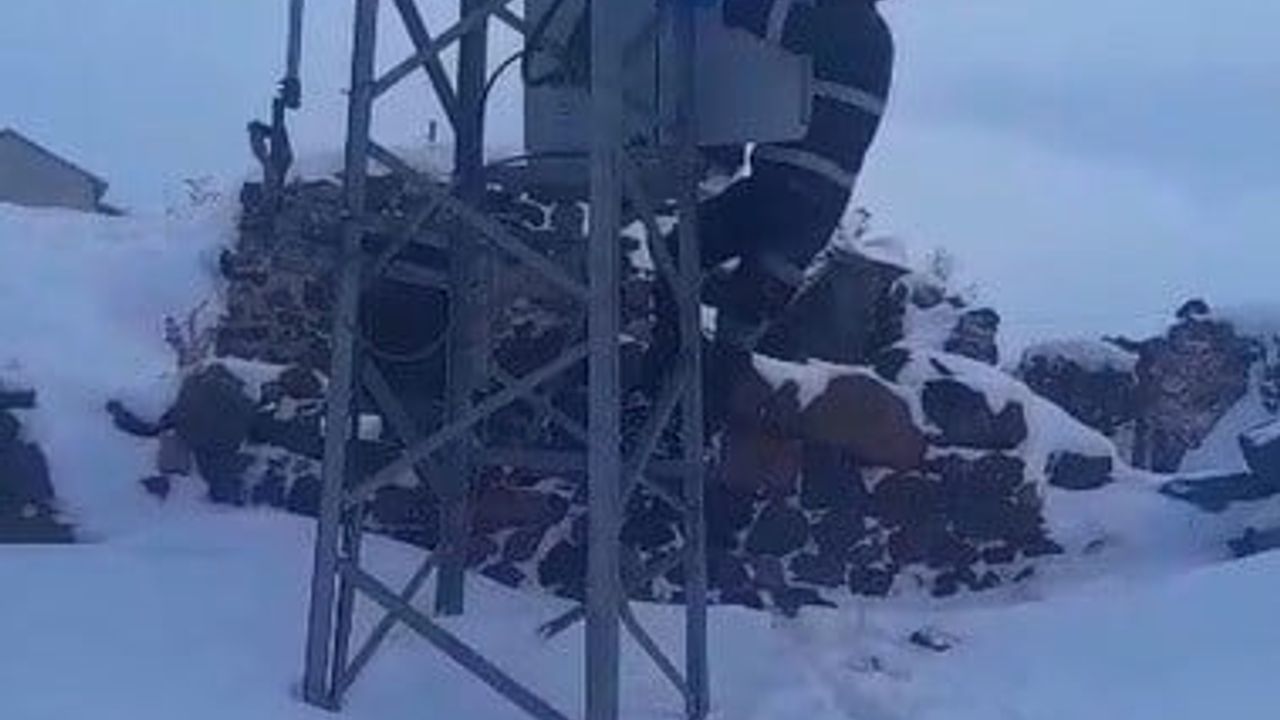 Kars’ta soğukta enerji mesaisi: Aras EDAŞ ekipleri zorlu koşullarda arızaları gideriyor