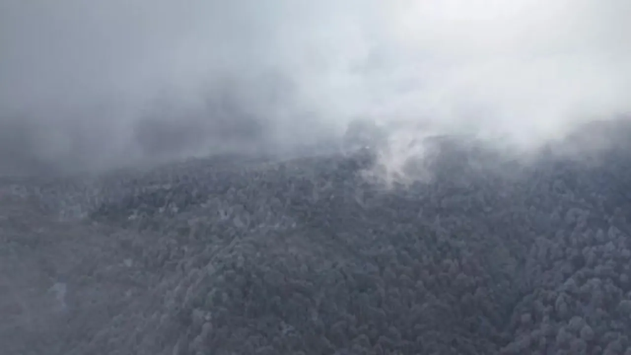 Kartepe'de beyaz, mavi ve yeşilin buluşması: 50 santimi geçen karla oluşan eşsiz manzara