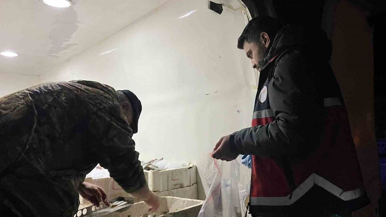 Kastamonu Çatalzeytin'de yasal boyutun altında 1 ton 335 kilogram balığa el konuldu