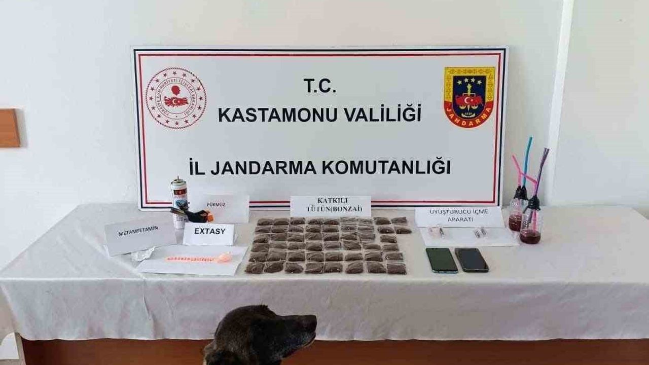 Kastamonu'da jandarma uyuşturucu operasyonu: 1 kişi tutuklandı