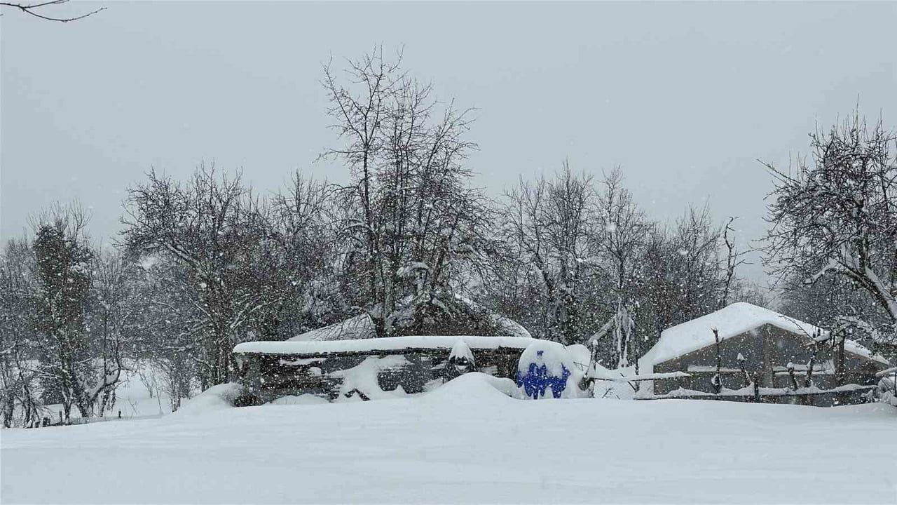 Kastamonu'da kar yağışı 167 köy yolunu ulaşıma kapattı