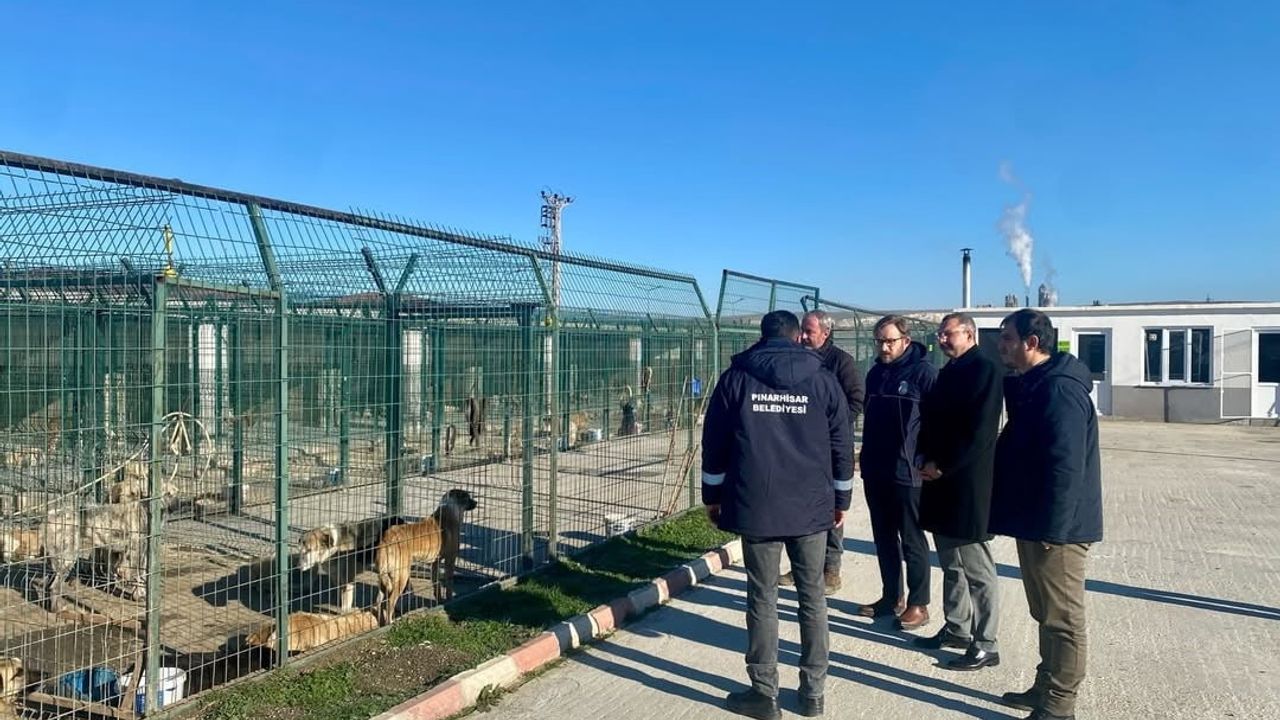 Kaymakam Enver Özderin Pınarhisar Geçici Hayvan Bakım ve Gözlem Merkezi'ni İnceledi