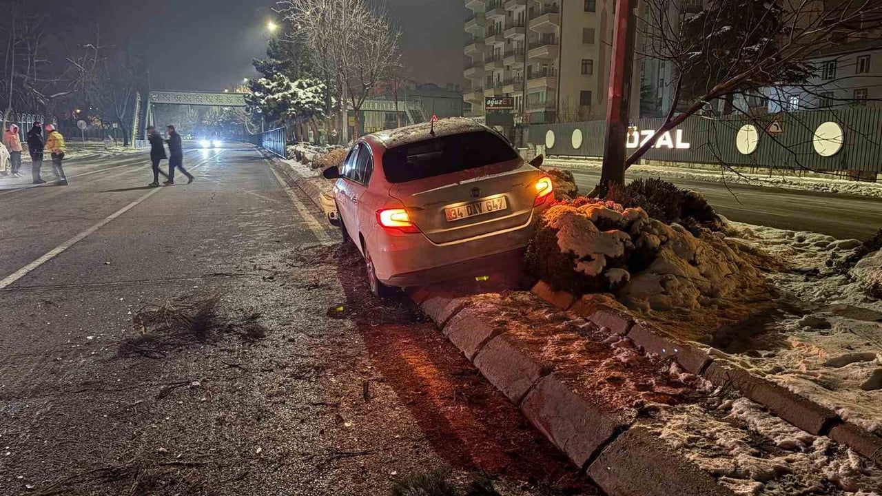 Kayseri'de alkollü sürücü refüjdeki ağacı devirdi, aydınlatma direğine çarptı