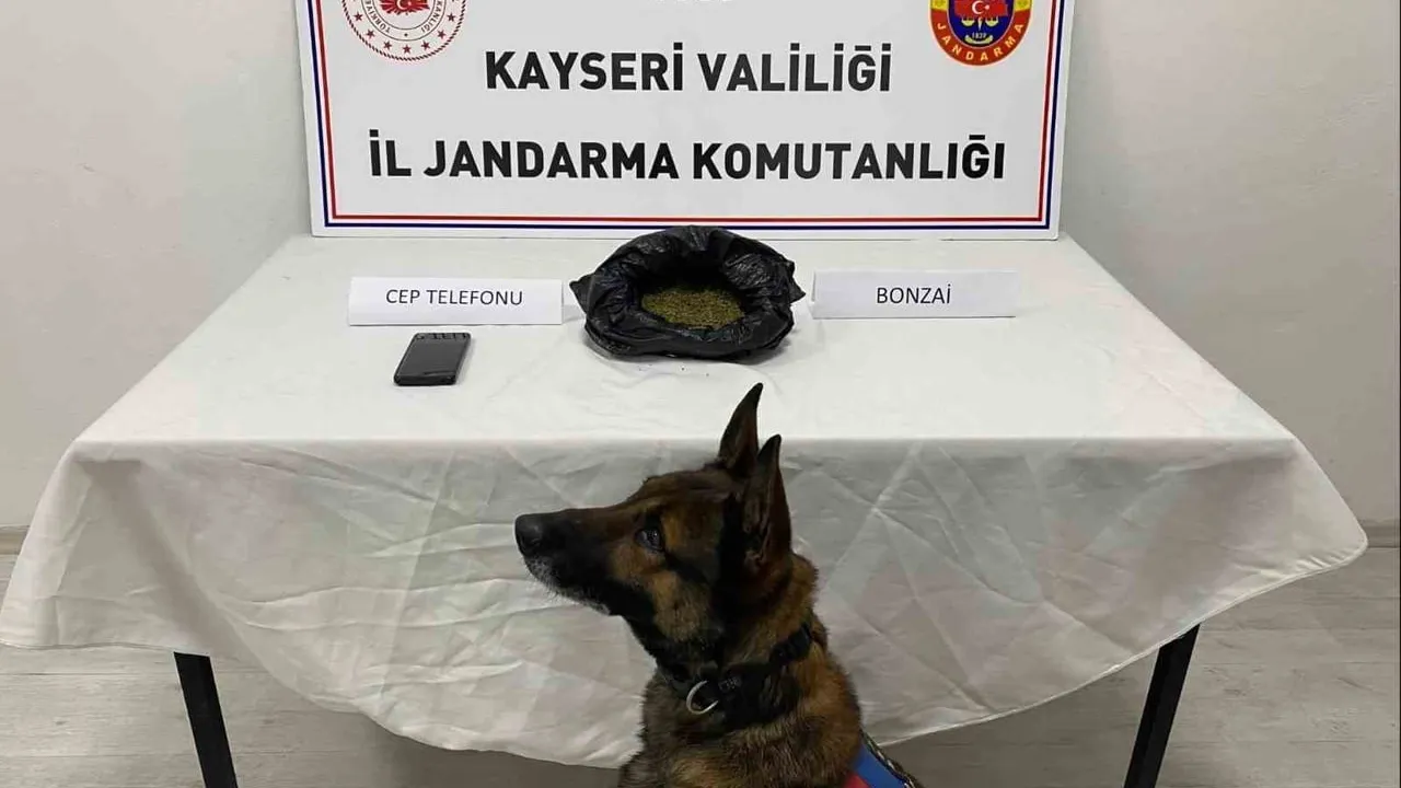 Kayseri'de Narkotik Operasyonu: Talas'ta 515 Gram Uyuşturucu Ele Geçirildi, 1 Kişi Gözaltında