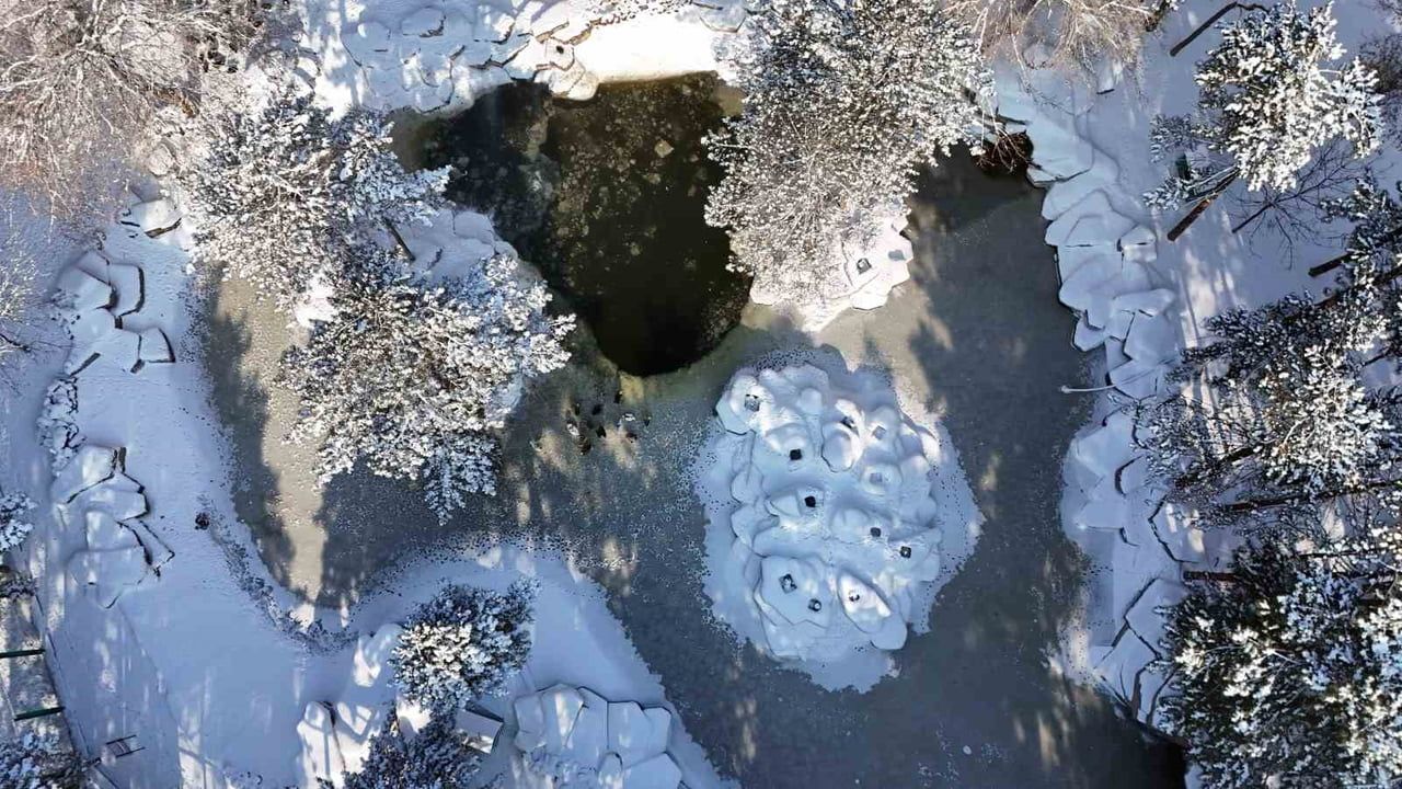 Kayseri'de soğuk hava etkili: Termometreler eksi 14'ü gösterdi, gölet buz tuttu