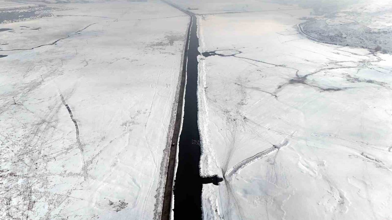 Kayseri Hürmetçi Sazlığı'nda göl buz tuttu: Kış manzarası ve mandaların geçişi