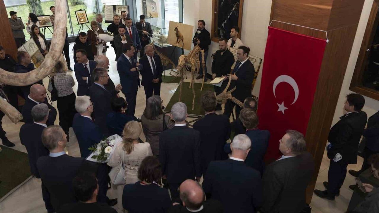 Kayseri'nin Avrupa'da Öne Çıkan Modeli: Spor, Akıllı Şehircilik ve PVSmile Başarısı