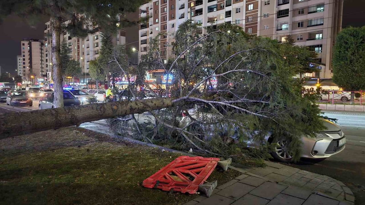 Kayseri Talas'ta kuvvetli rüzgar: Park halindeki aracın üzerine ağaç devrildi