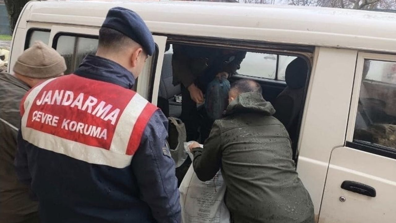 Kırklareli’de yasa dışı karaca avına 50 bin 943 lira idari para cezası