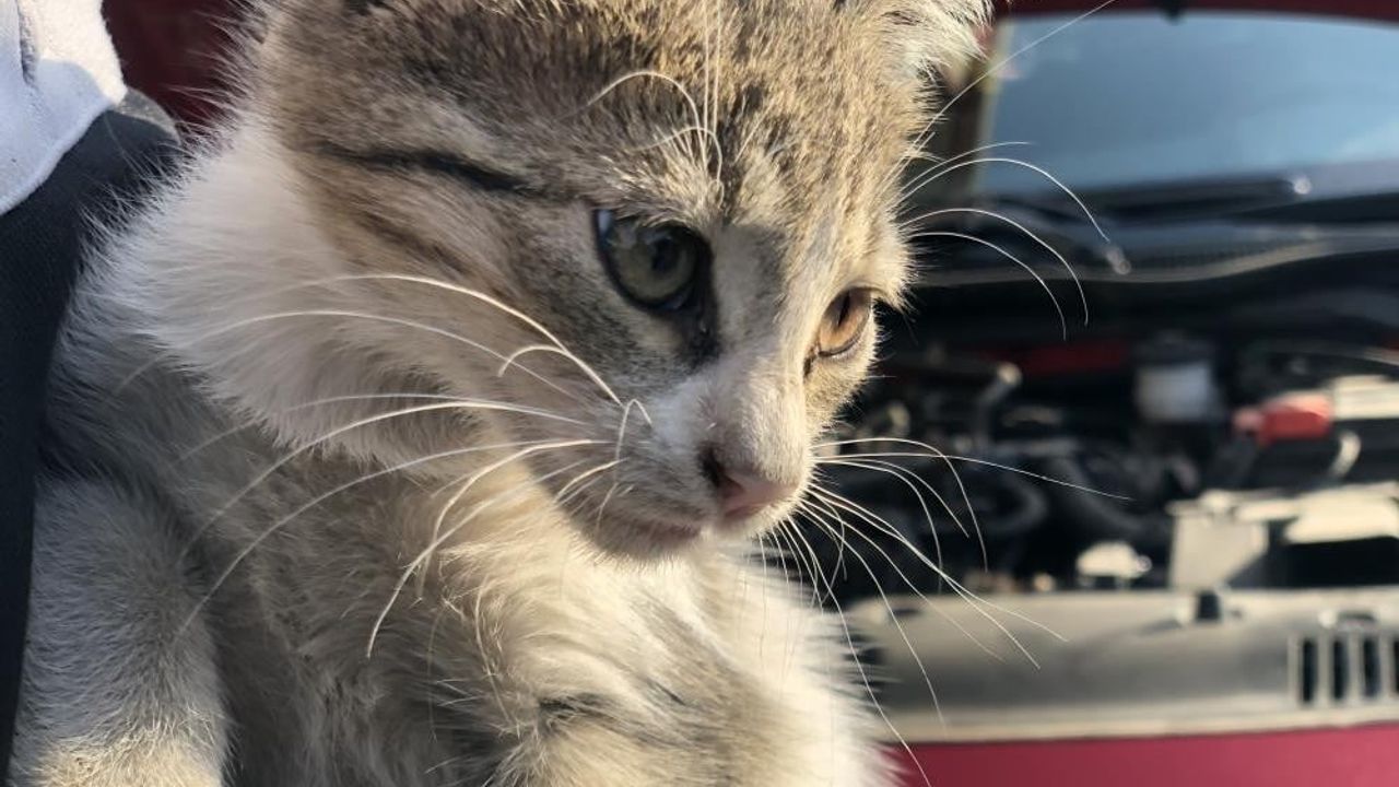 Kış aylarında araç kontrolü: Yetkililer 'kaputa vurun' çağrısı yaptı