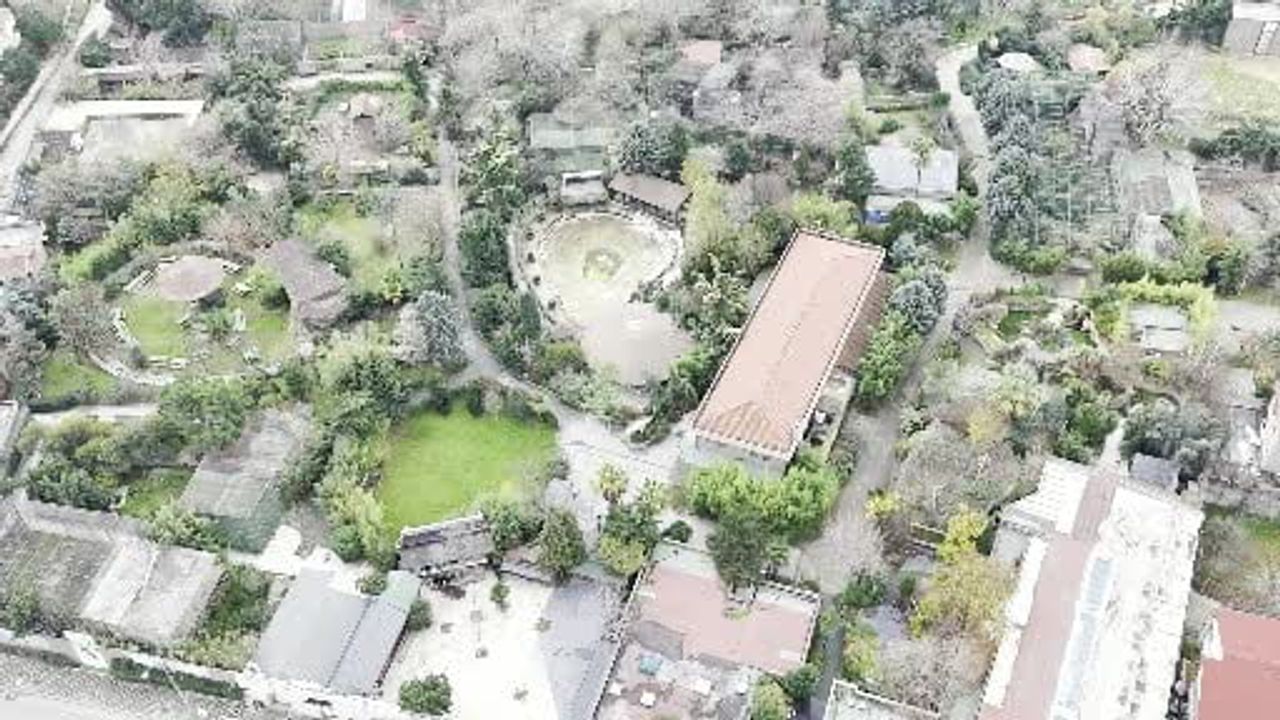 Kocaeli’de Darıca Hayvanat Bahçesi kapandı; hayvanlar uzman ekiplerle farklı illere nakledildi