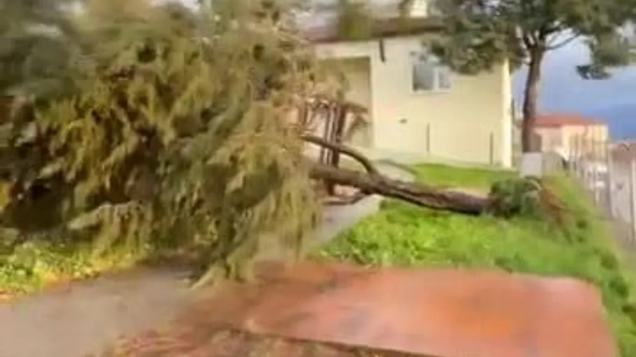 Kocaeli'de kuvvetli lodos yaşamı olumsuz etkiledi: Bazı bölgeler 20 saattir karanlıkta