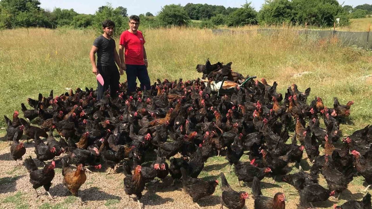 Kocaeli'de üreticiye yüzde 50 hibeli tarımsal ve hayvansal destekler başlıyor