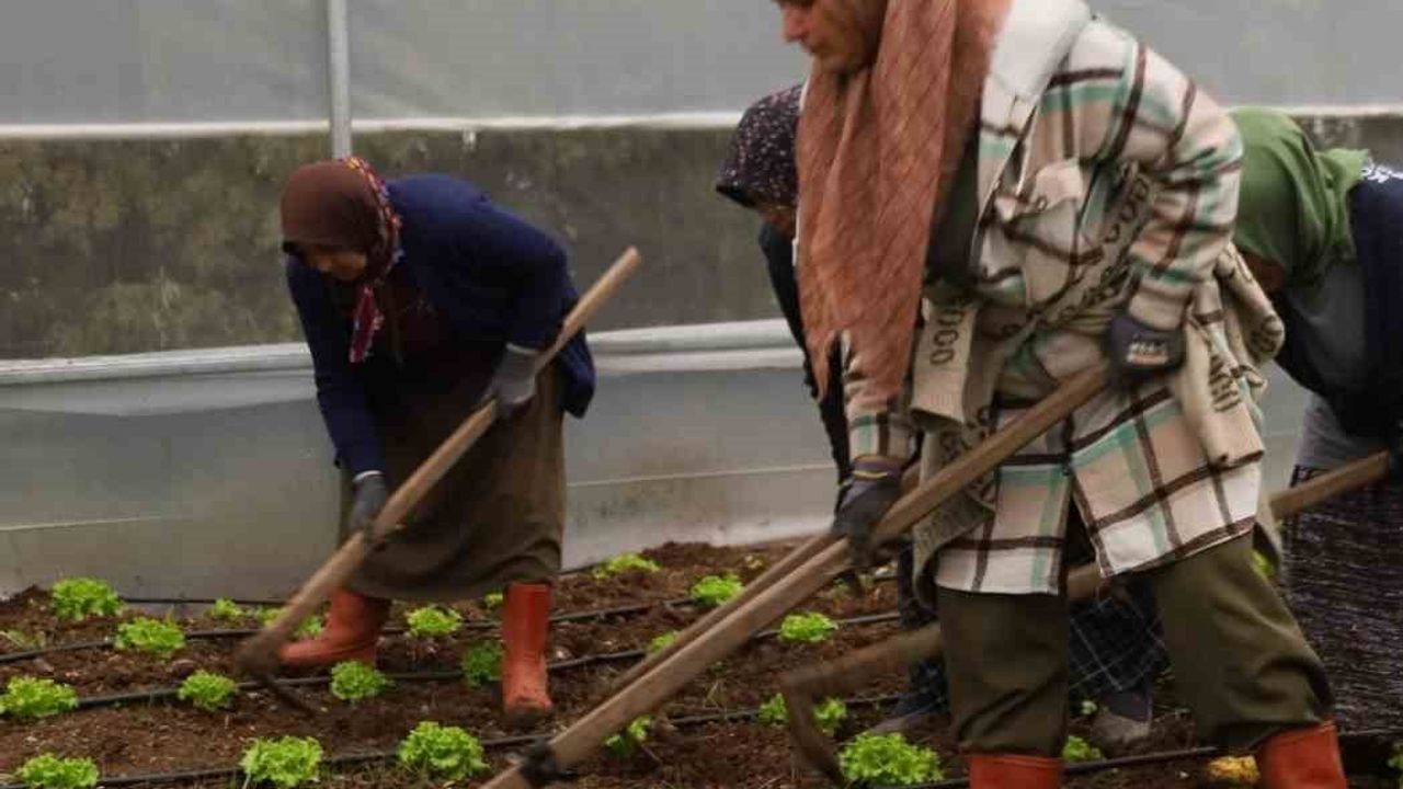 Kocaeli Tarım Akademisi: 16-55 Yaş Arası Aday Çiftçilere Teorik ve Uygulamalı Eğitim