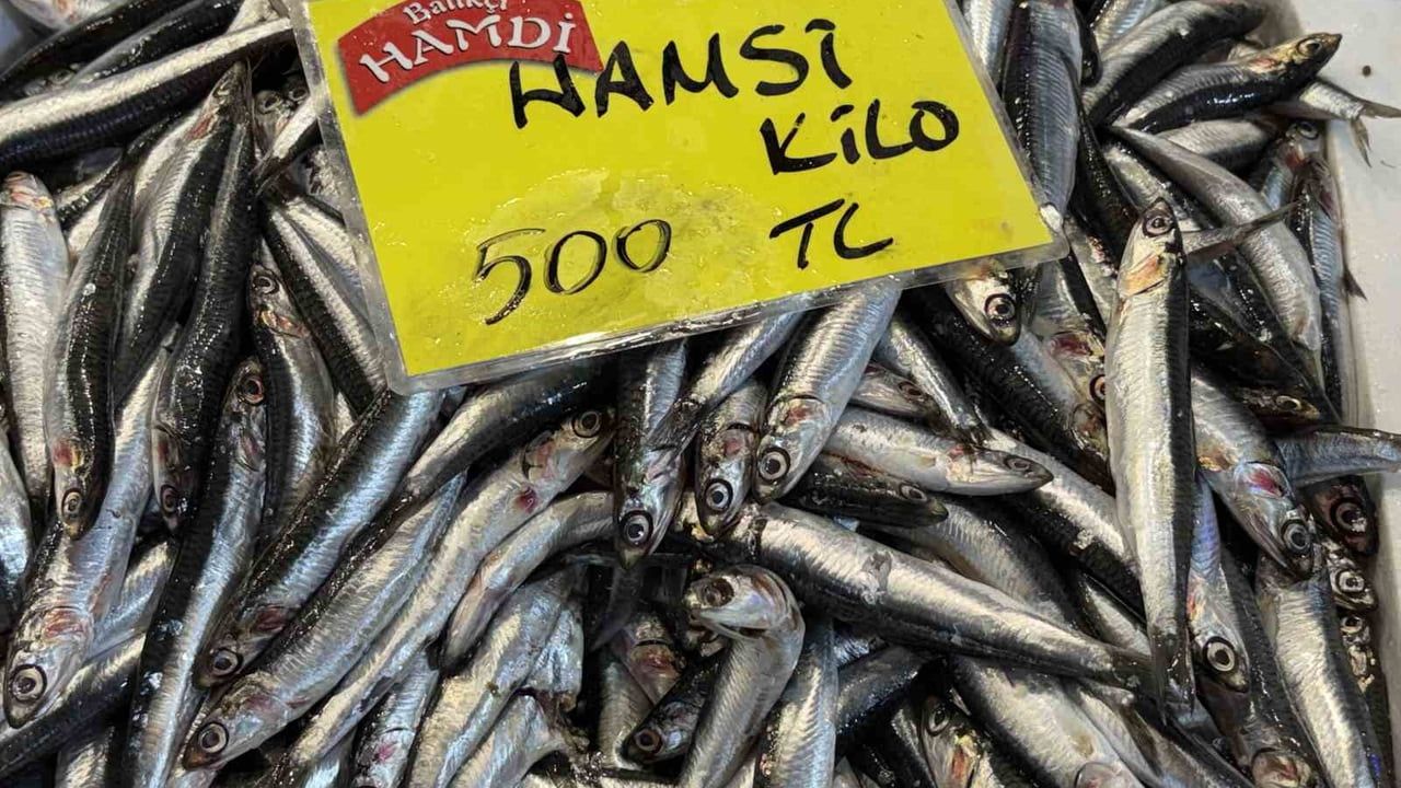 Kocaeli tezgahlarında balık sıkıntısı: Sezon döngüsü ve fiyatlar