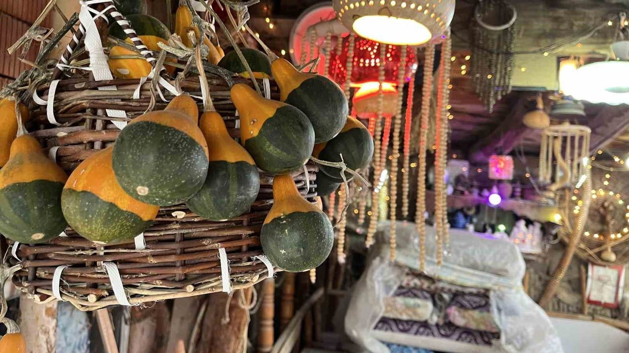 Konya'da 30 Yıllık Birikim: Emekli Vatandaş Bahçesini Müzeye Dönüştürdü