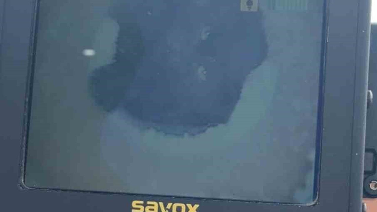 Konya'da bacaya giren kedi itfaiyenin 6 saatlik operasyonuyla kurtarıldı