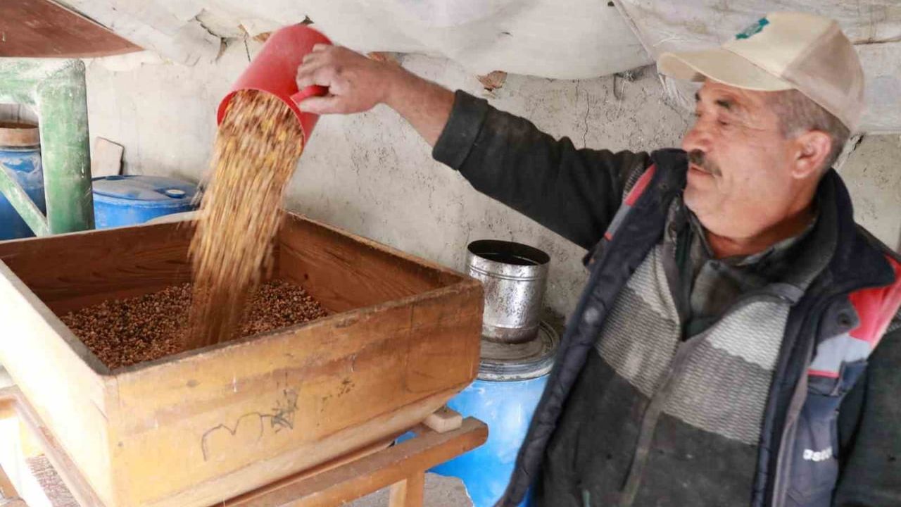 Konya Hadim'de Asırlık Lezzet: Kavut Unu Gelenekten Sofraya