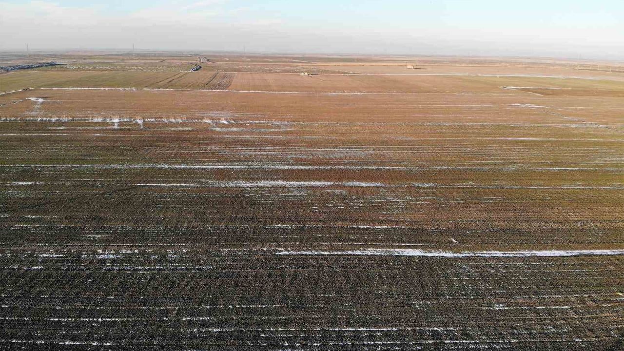 Konya Ovası'nda karsız sezon tarımsal riskleri artırıyor: ZMO uyardı