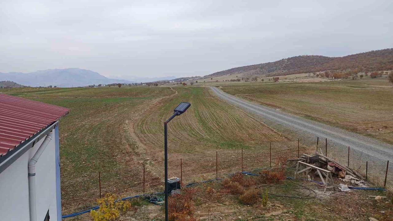 Kulp'ta 7 Gün Süren Kar Buğday ve Arpa Üreticilerine Umut Verdi