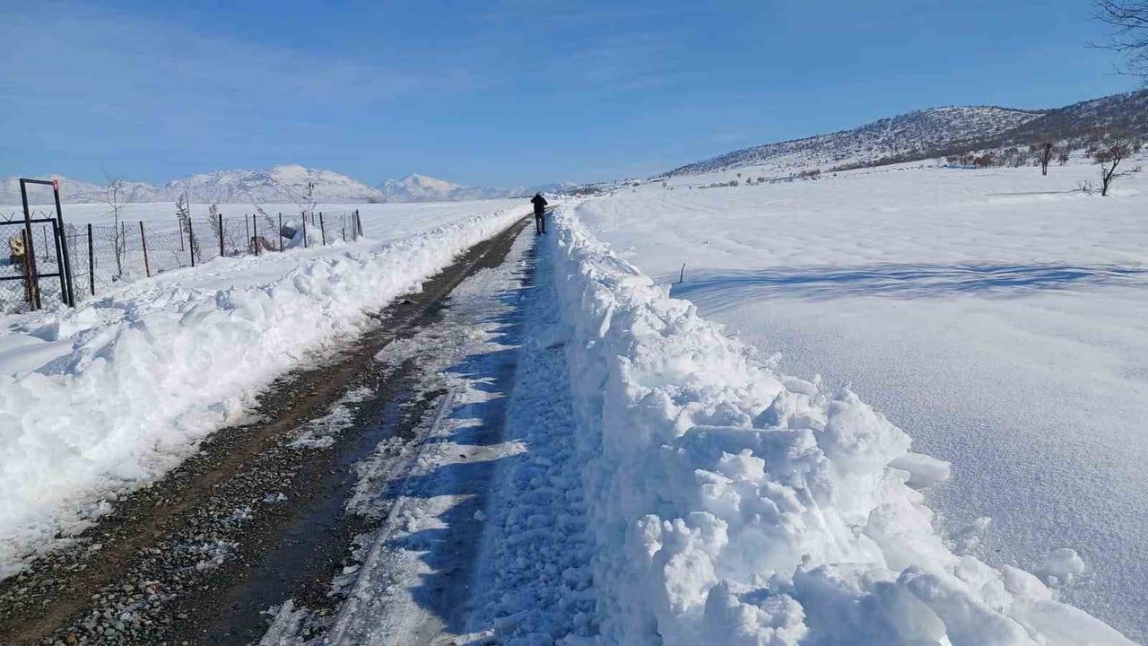 Kulp’ta taşımalı eğitime 1 gün kar tatili; ilçe merkezinde okullar açık