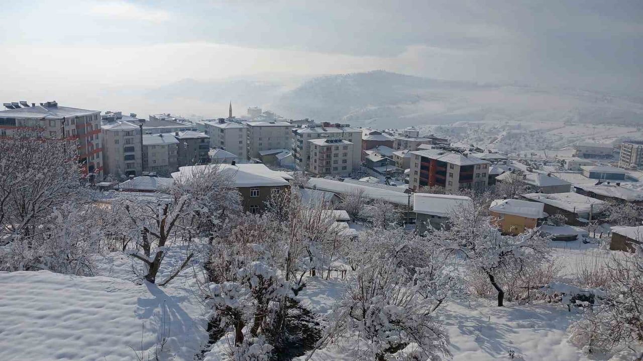 Kulp’ta üç gündür süren kar yağışı ilçe merkezini buzla kapladı