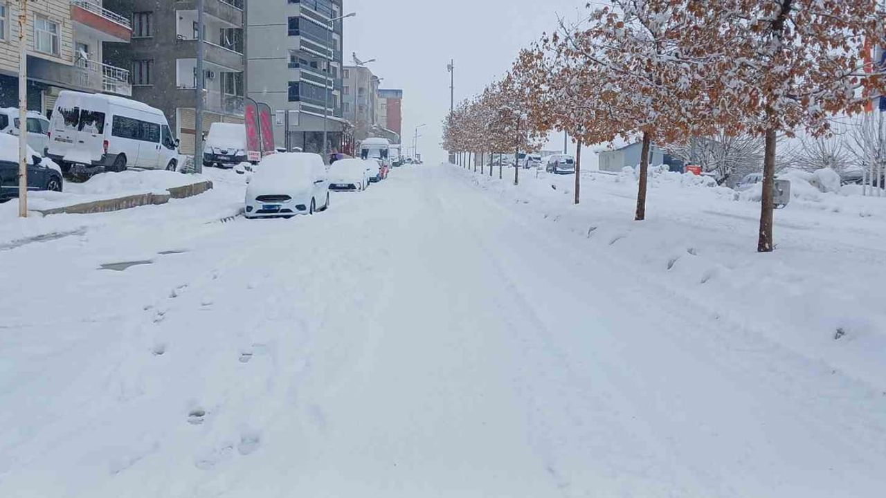 Kulp'ta yoğun kar: Merkezde hayat etkilendi, çok sayıda köy yolu kapandı