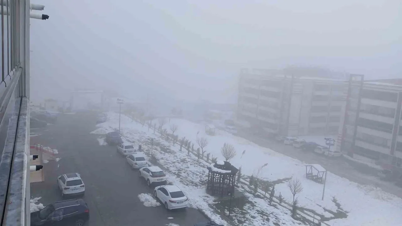 Kulp'ta yoğun sis: Görüş mesafesi yer yer 20-30 metreye düştü