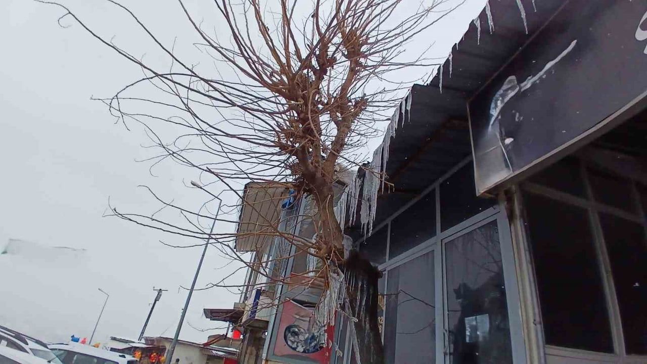 Kulp’ta yüksek kesimler kar yağışıyla beyaza büründü