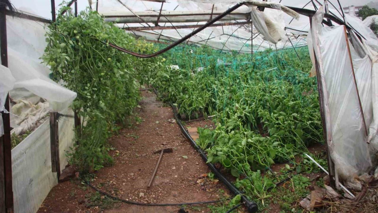 Kumluca'da hortum yaklaşık 150 dönüm serada hasara yol açtı