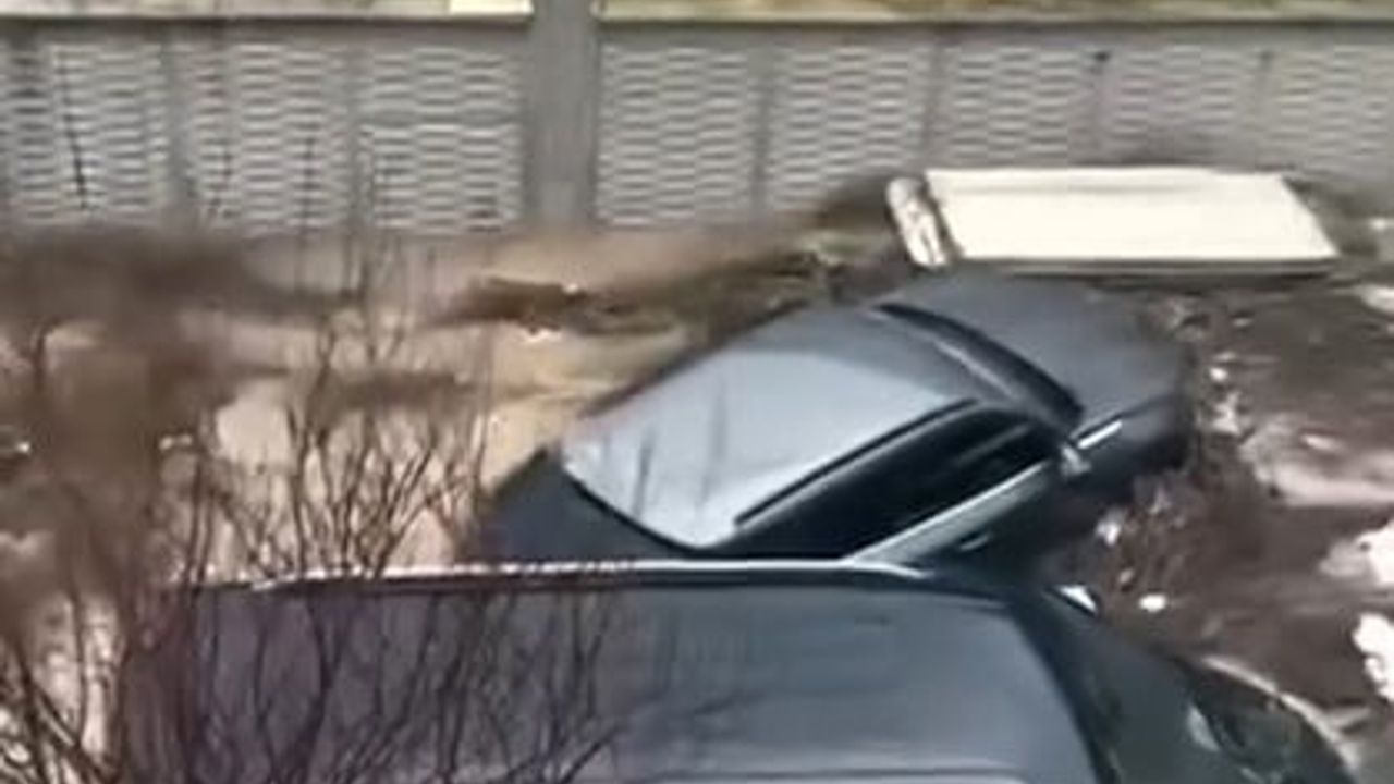 Kuşadası'nda 30 dakikalık sağanak: Dereler taştı, bazı araçlar sele kapıldı