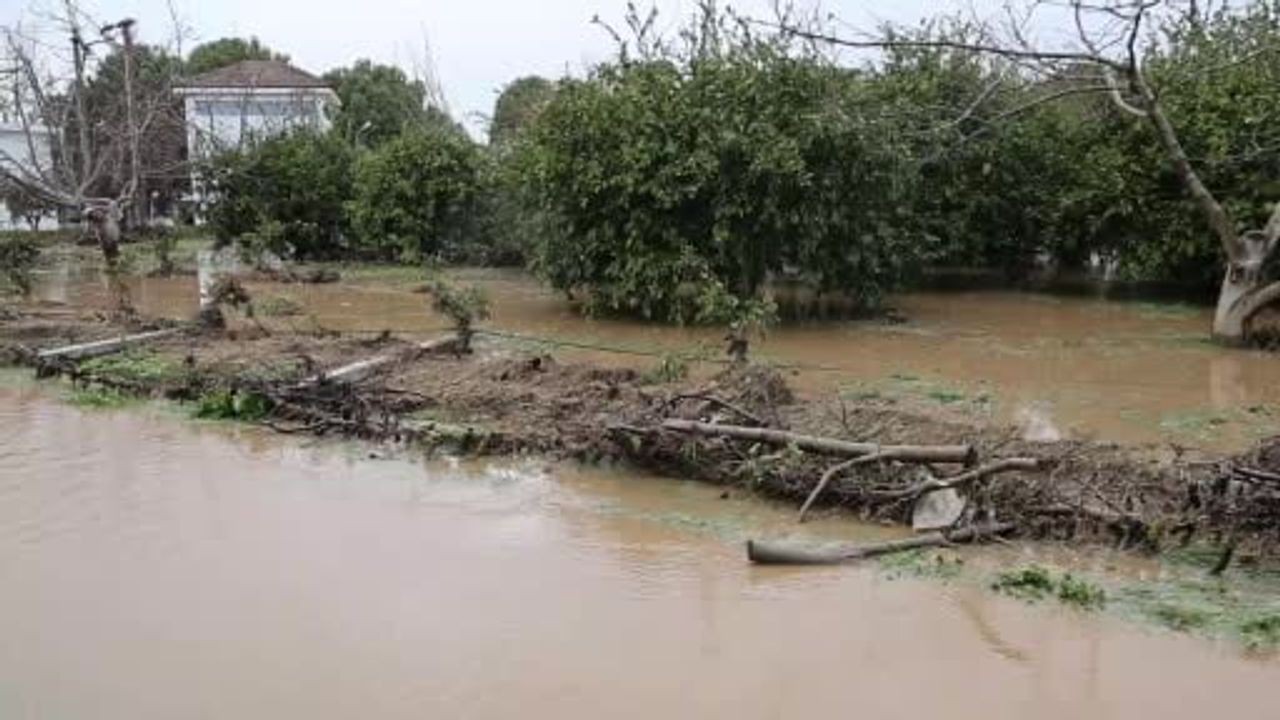 Kuşadası'nda sağanak taşkınları: Davutlar'da bahçeler göle döndü