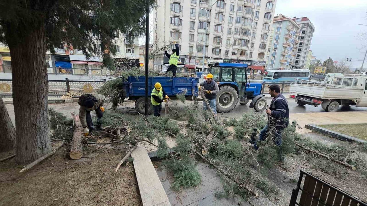 Kütahya’da fırtına ve kuvvetli rüzgâr ağaçları devirdi