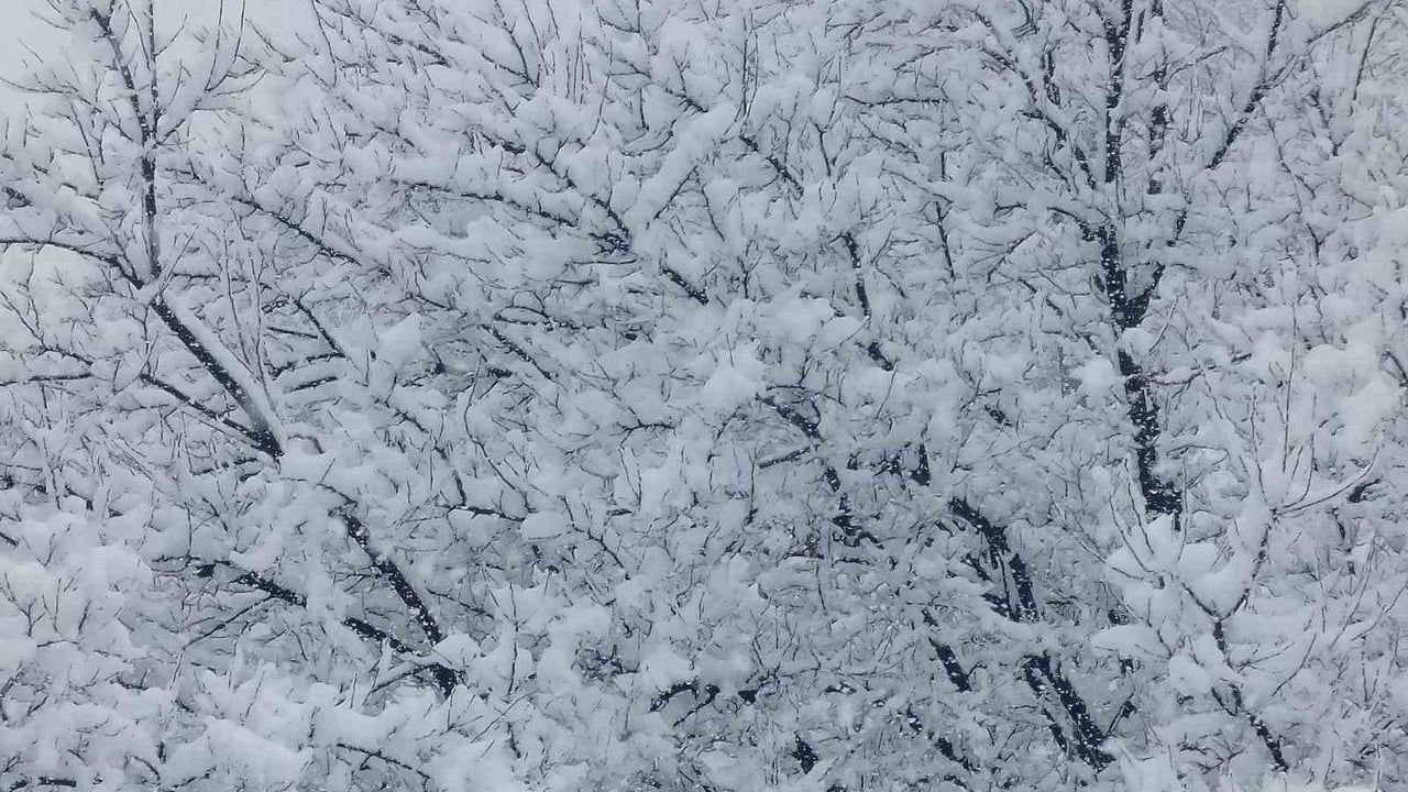 Malatya'da Soğuk Hava Sürüyor: Pütürge'de Kar Kalınlığı 1 Metreye Yaklaştı