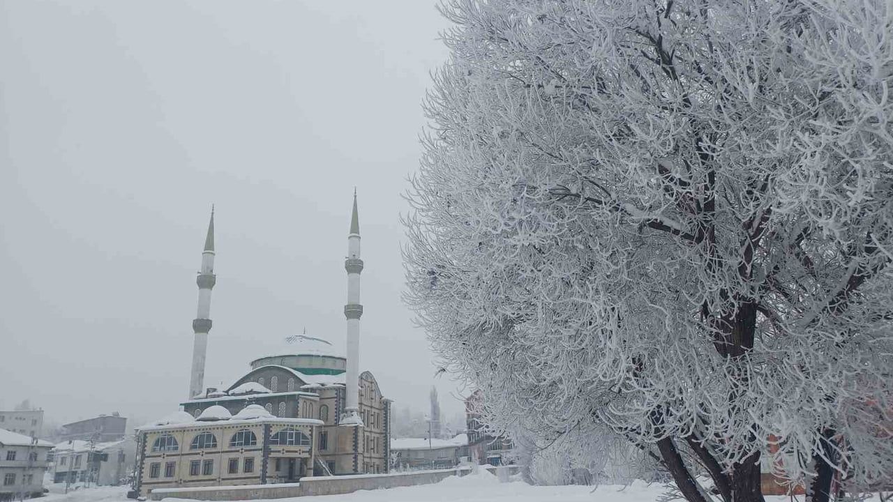 Malazgirt’te kırağı manzaraları: Dondurucu soğuk doğayı beyaza bürüdü