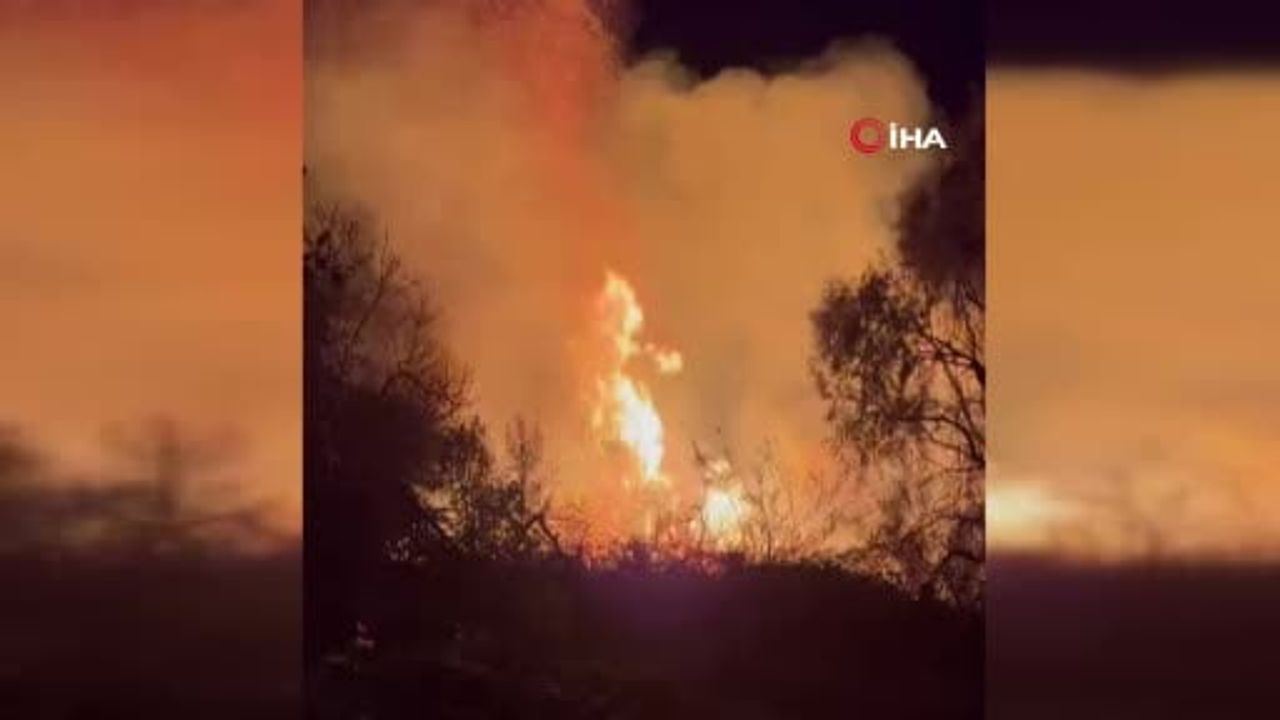 Manavgat'ta D-400 kara yolunda okaliptüs yangını hızlı müdahaleyle kontrol altına alındı