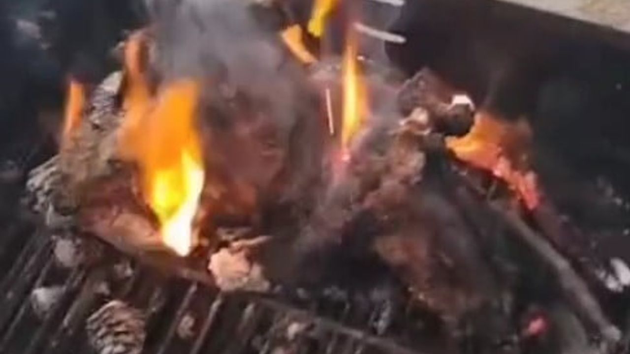 Manavgat'ta yangın ihbarına giden ekipler dairede mangal yaktığını tespit etti