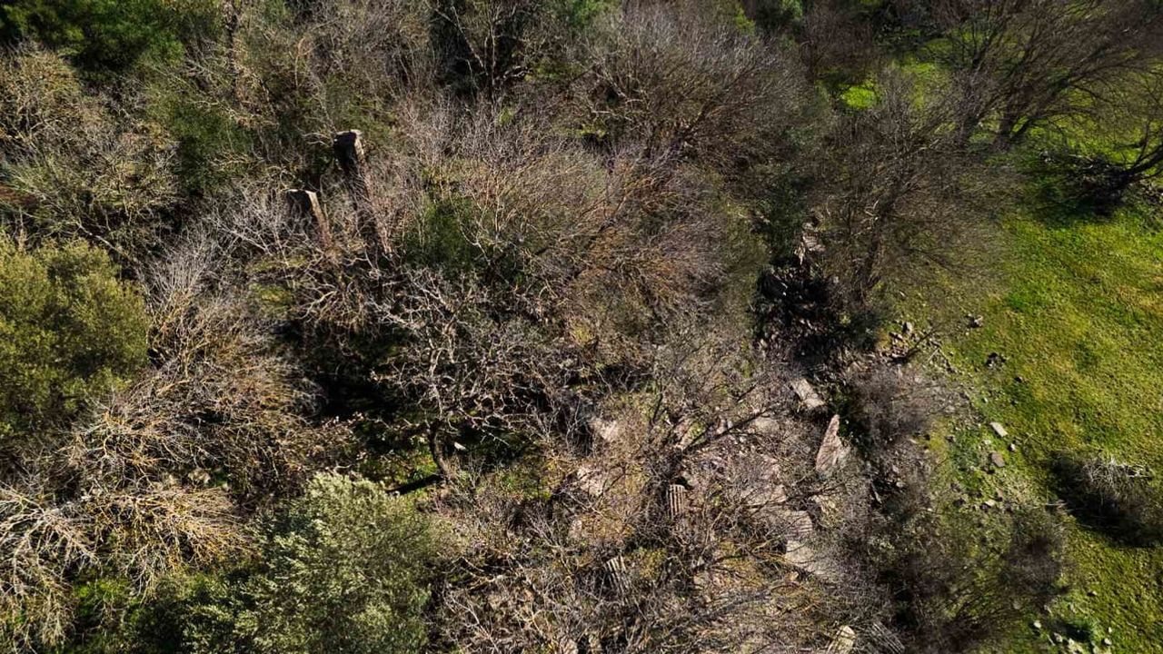 Manisa Aigai'de Apollon Khresterios Kehanet Merkezi: Korunmuş Tapınağın Restorasyon ve Turizm Potansiyeli