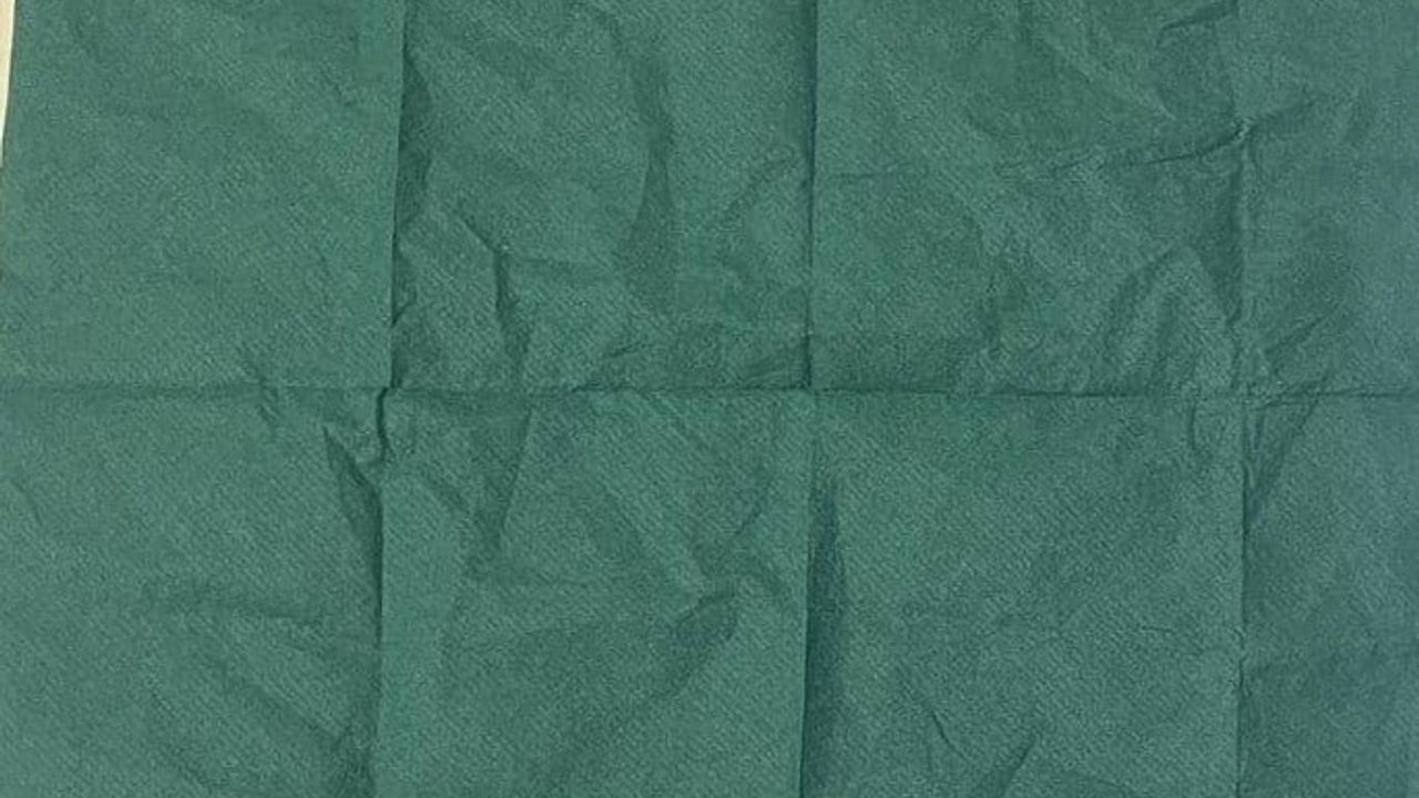 Manisa'da aranan şüphelinin üzerinden 2 bin 500 içimlik uç bonzai ele geçirildi