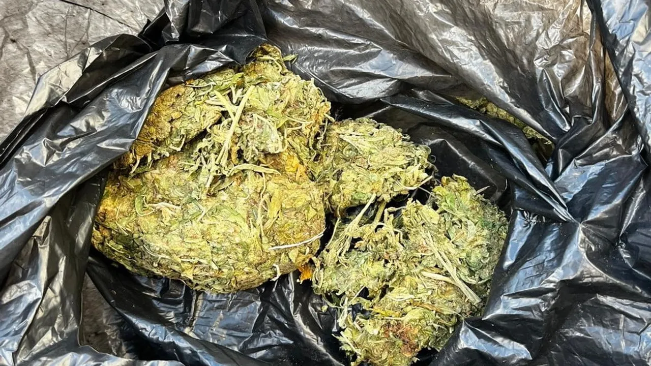 Manisa'nın Salihli ilçesinde durdurulan araçta 50 gram esrar ele geçirildi